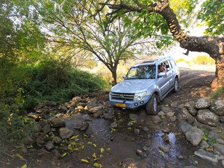 טיולי ג'יפים ברמת הגולן