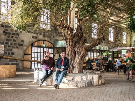 בית הבד של הגולן, קצרין