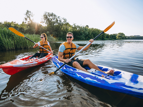 אטרקציות בסביבה