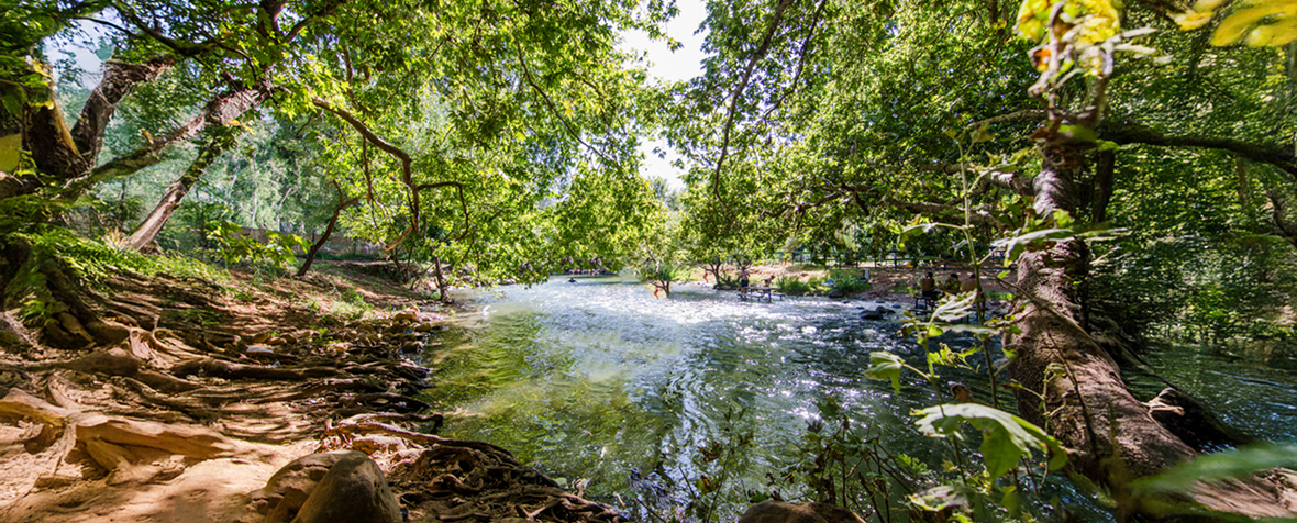 זאת החופשה הבאה שלכם? ירוק על הנחל באתר קופונופש+